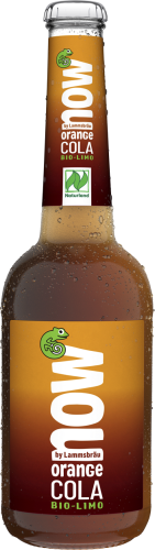 ORANGE COLA Z GUARANĄ BIO 330 ml - NOW