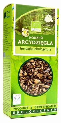 KORZEŃ ARCYDZIĘGLA HERBATKA EKOLOGICZNA DARY NATURY