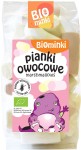 PIANKI OWOCOWE BEZGLUTENOWE BIO MINKI 100G